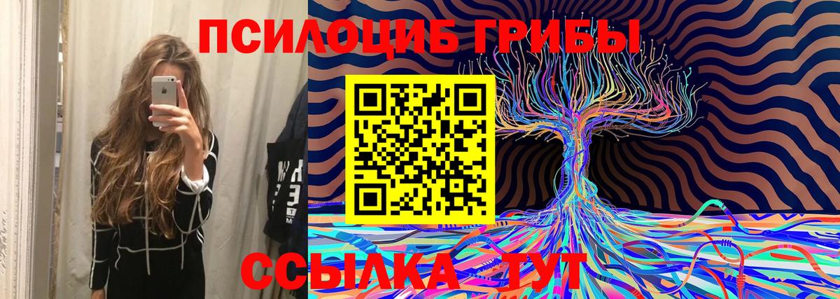 Псилоцибиновые грибы Magic Shrooms  Вход с VPN  Ноябрьск 